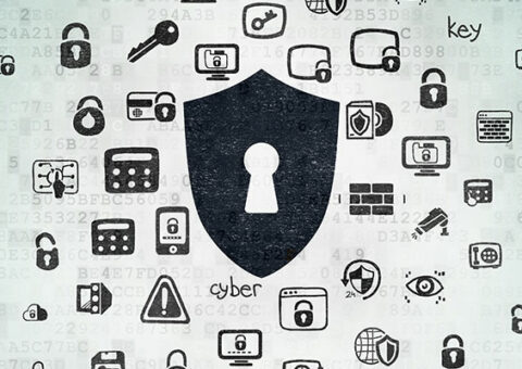 Types of SSL Certificates: What SSL Certificate Do I Need?