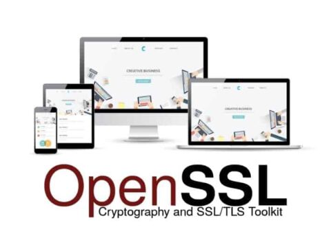 什么是 OpenSSL？ OpenSSL 如何工作？