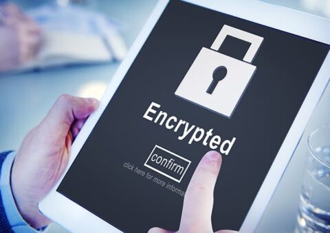 Top 5 SSL Certificate Providers to Secure Your Website