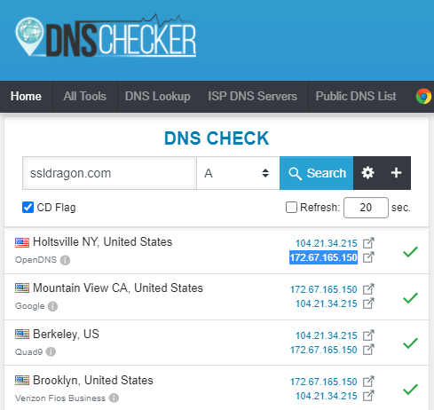 Verificador de DNS