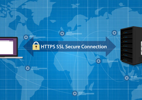 Top 12 Revealing SSL Stats You Should Know